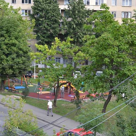 Pension Coral Baia Mare Bagian luar foto