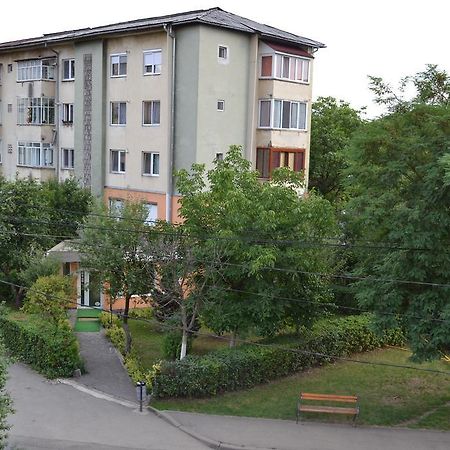 Pension Coral Baia Mare Bagian luar foto