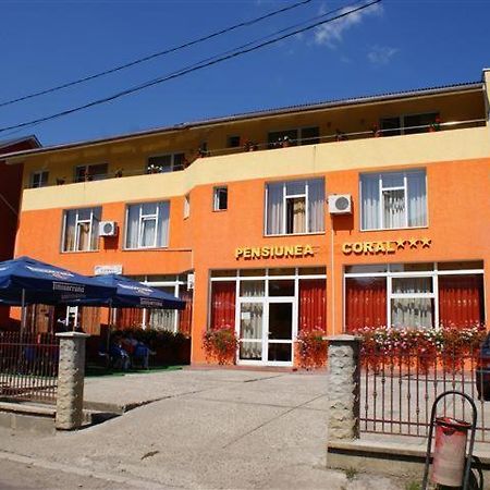 Pension Coral Baia Mare Bagian luar foto