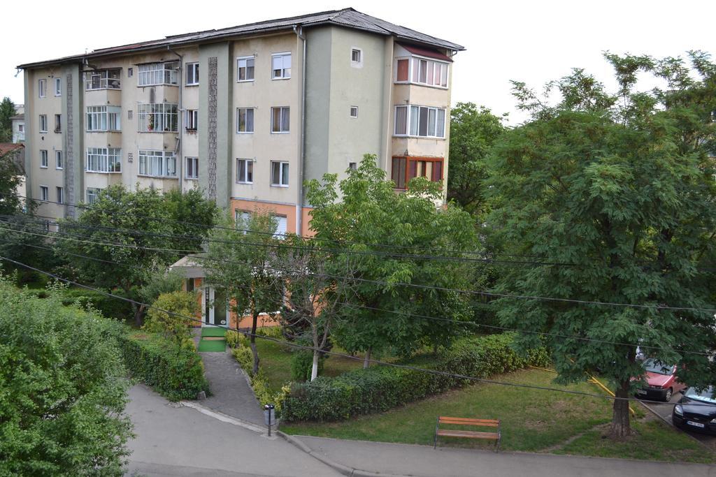 Pension Coral Baia Mare Bagian luar foto