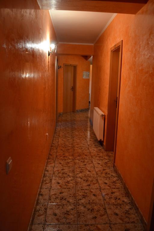 Pension Coral Baia Mare Bagian luar foto